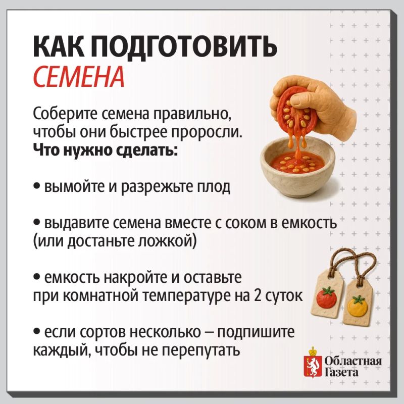 Понравился сорт? Сами заготовьте семена! Понравился сорт? Сами заготовьте семена!