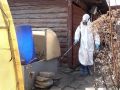 � ������ ������������ ����������� ������ �� �������������� �������������� � ���������� ����������� �������