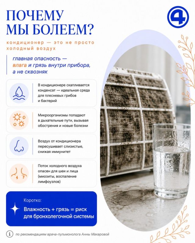 Кондиционер спасает от перегрева, но может ударить по легким Кондиционер спасает от перегрева, но может ударить по легким