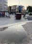 После потопов рыбу можно увидеть даже в центре Екатеринбурга