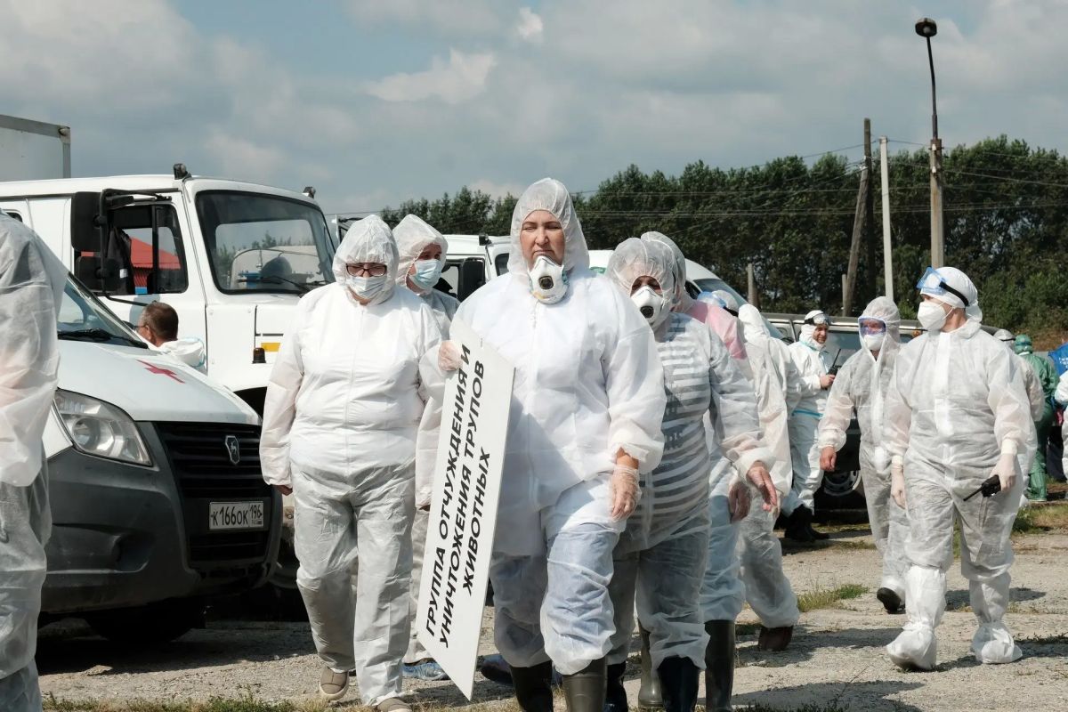 Ветеринары успешно ликвидировали очаг африканской чумы свиней в рамках учений Ветеринары успешно ликвидировали очаг африканской чумы свиней в рамках учений