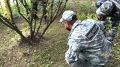 Полицейские спасли раненого ястреба в Каменске-Уральском