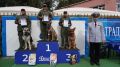 � ������������� ����������� ������ ���������� �� ���������� ����� ������������-��������� �� ����� ������������ ��������� ����������� �������