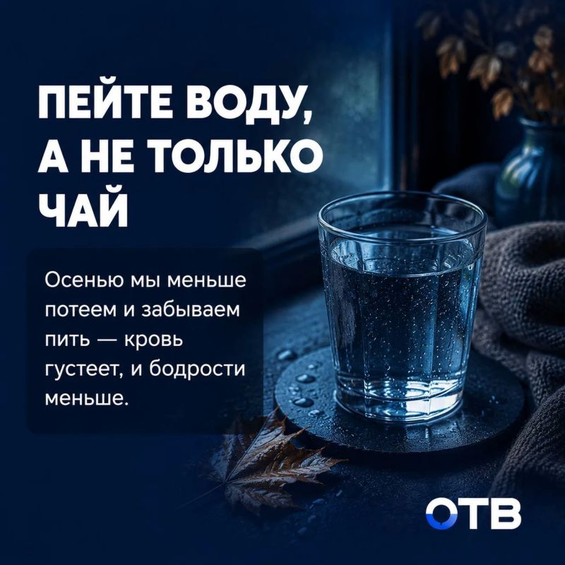Осень подступает, а организм ещё живёт в июле: что есть, чтобы не клевать носом Осень подступает, а организм ещё живёт в июле: что есть, чтобы не клевать носом