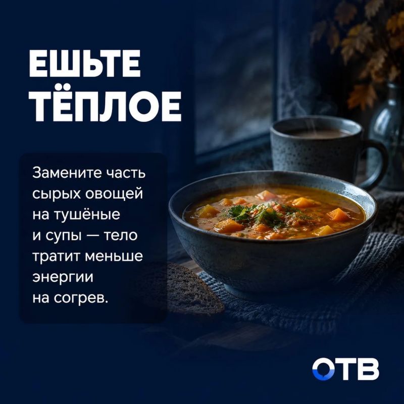Осень подступает, а организм ещё живёт в июле: что есть, чтобы не клевать носом Осень подступает, а организм ещё живёт в июле: что есть, чтобы не клевать носом