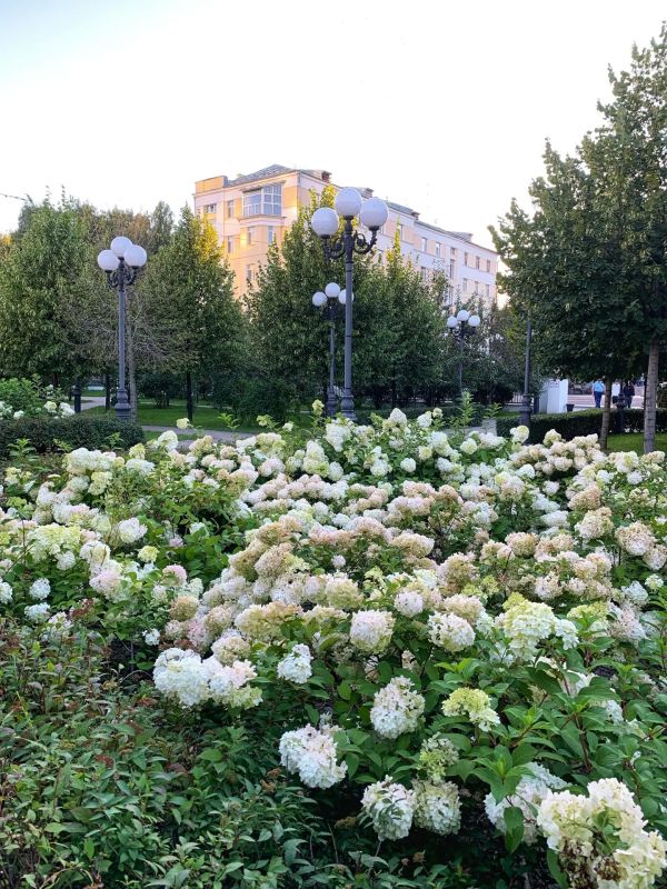 Уральское лето радует своей красотой в солнечную погоду Уральское лето радует своей красотой в солнечную погоду