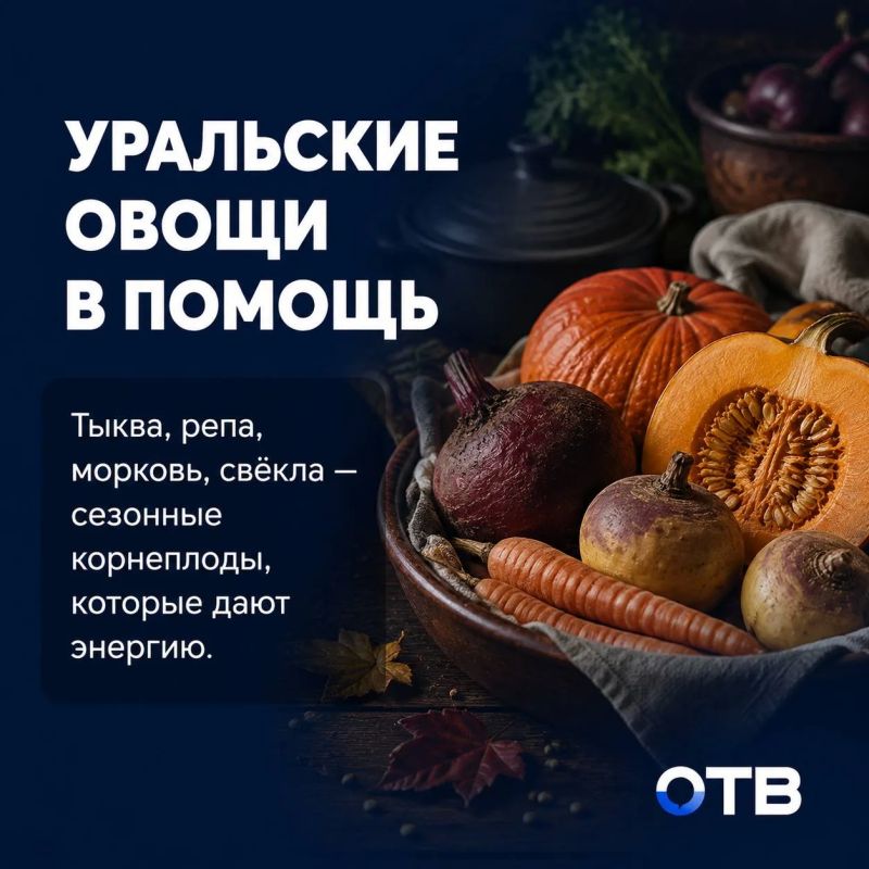 Осень подступает, а организм ещё живёт в июле: что есть, чтобы не клевать носом Осень подступает, а организм ещё живёт в июле: что есть, чтобы не клевать носом