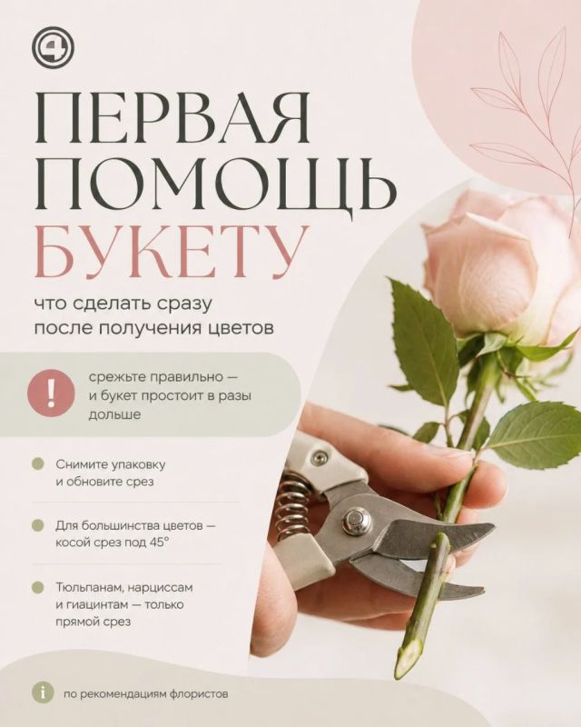 Красота с подвохом: как выбрать безопасный букет и сохранить его свежим Красота с подвохом: как выбрать безопасный букет и сохранить его свежим