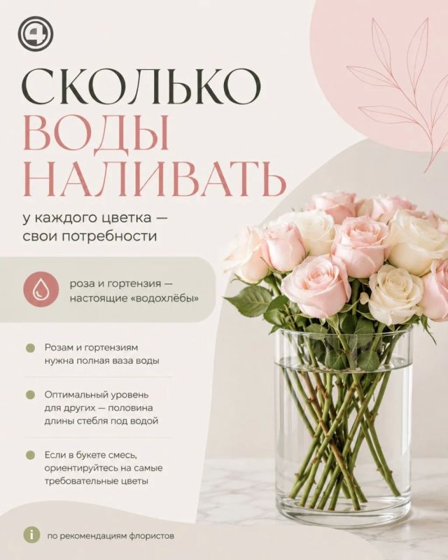 Красота с подвохом: как выбрать безопасный букет и сохранить его свежим Красота с подвохом: как выбрать безопасный букет и сохранить его свежим