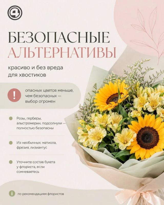 Красота с подвохом: как выбрать безопасный букет и сохранить его свежим Красота с подвохом: как выбрать безопасный букет и сохранить его свежим