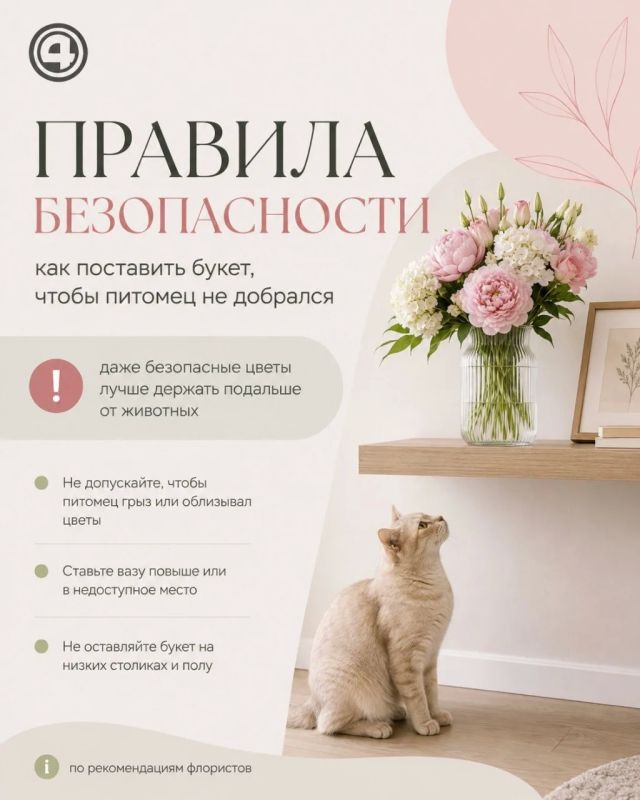 Красота с подвохом: как выбрать безопасный букет и сохранить его свежим Красота с подвохом: как выбрать безопасный букет и сохранить его свежим