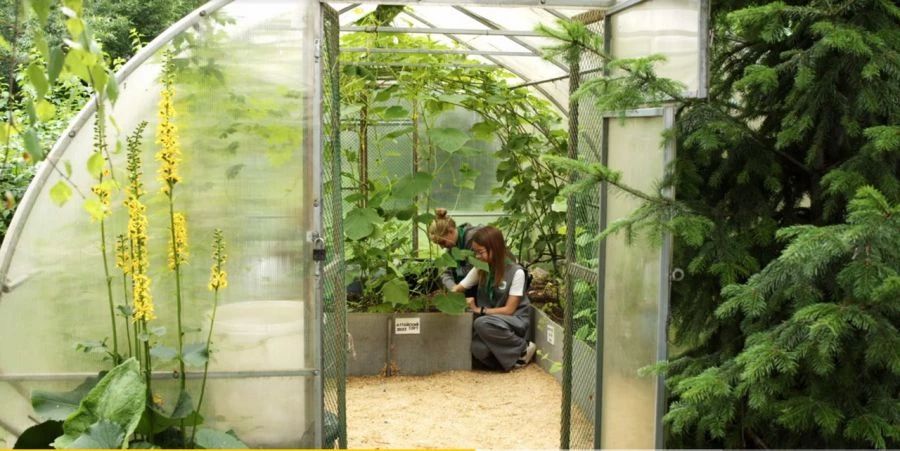 Завершился региональный этап Всероссийского конкурса лучших практик внедрения бережливых технологий в систему образования Завершился региональный этап Всероссийского конкурса лучших практик внедрения бережливых технологий в систему образования