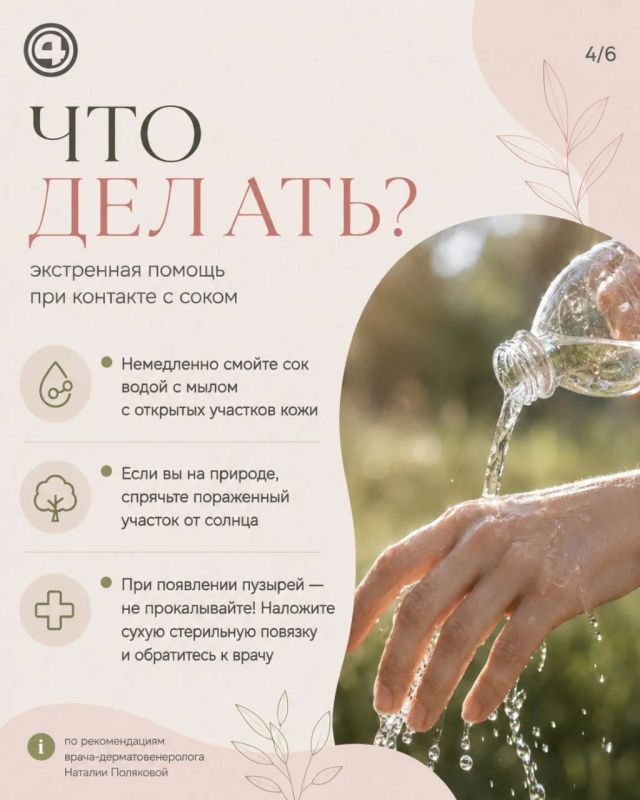 Не только борщевик: обычная трава тоже может оставить ожог Не только борщевик: обычная трава тоже может оставить ожог