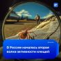 Вторая волна активности клещей началась в России