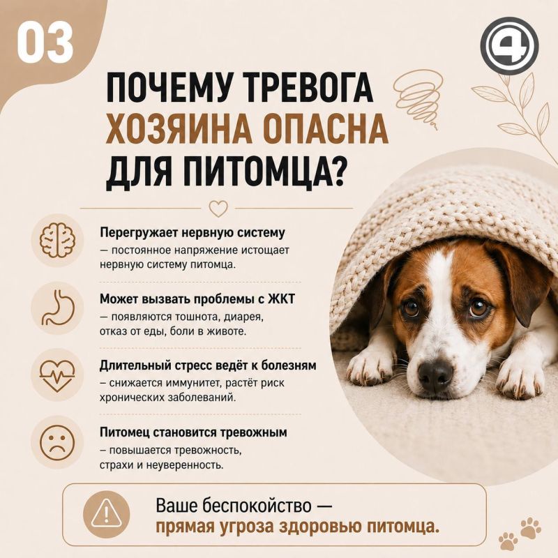 «Лучше уйти поплакать в ванну»: как состояние хозяина влияет на питомца? «Лучше уйти поплакать в ванну»: как состояние хозяина влияет на питомца?