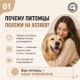 «Лучше уйти поплакать в ванну»: как состояние хозяина влияет на питомца?