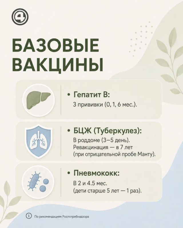 Важно для родителей первоклашек: проверьте прививки перед школой Важно для родителей первоклашек: проверьте прививки перед школой