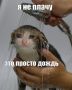 � ����� ����� ������� ������������� ���������