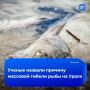 ����������� ������� �������� ������ ���� � ��������� ����� ������� � �������������� � �����