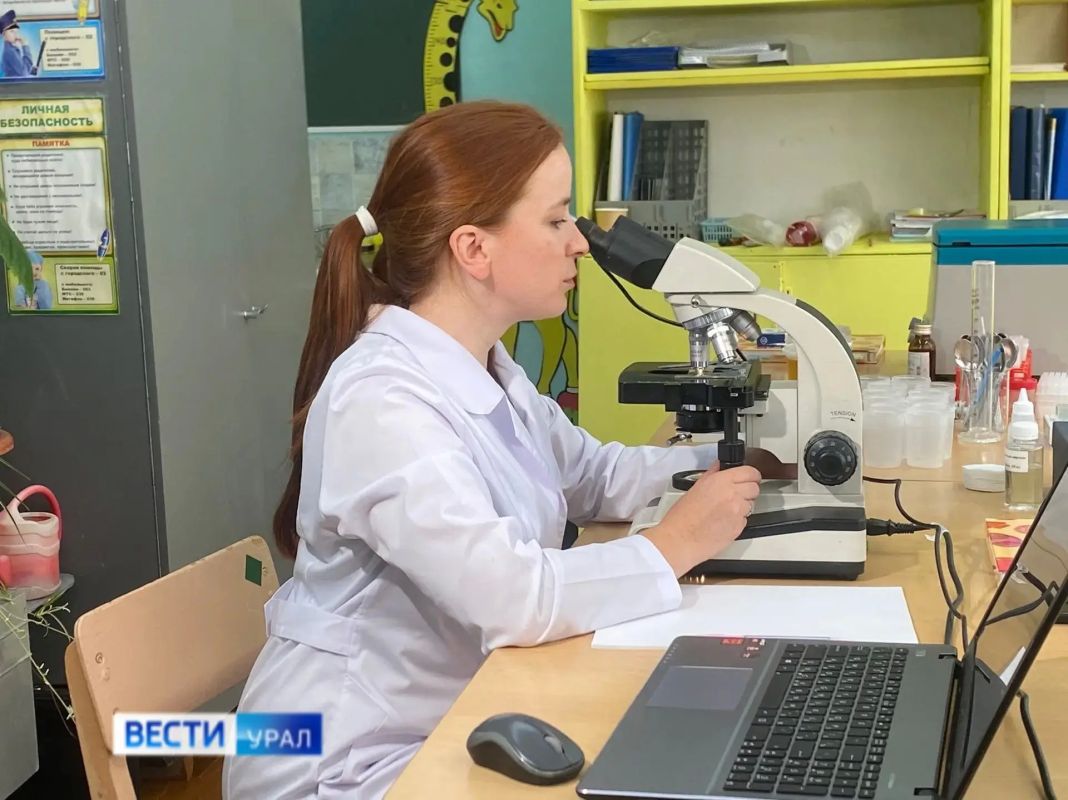 Вы знали о "медовых" сомелье? Вы знали о "медовых" сомелье?