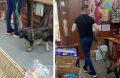 В Екатеринбурге ищут мужчину с истощенным псом