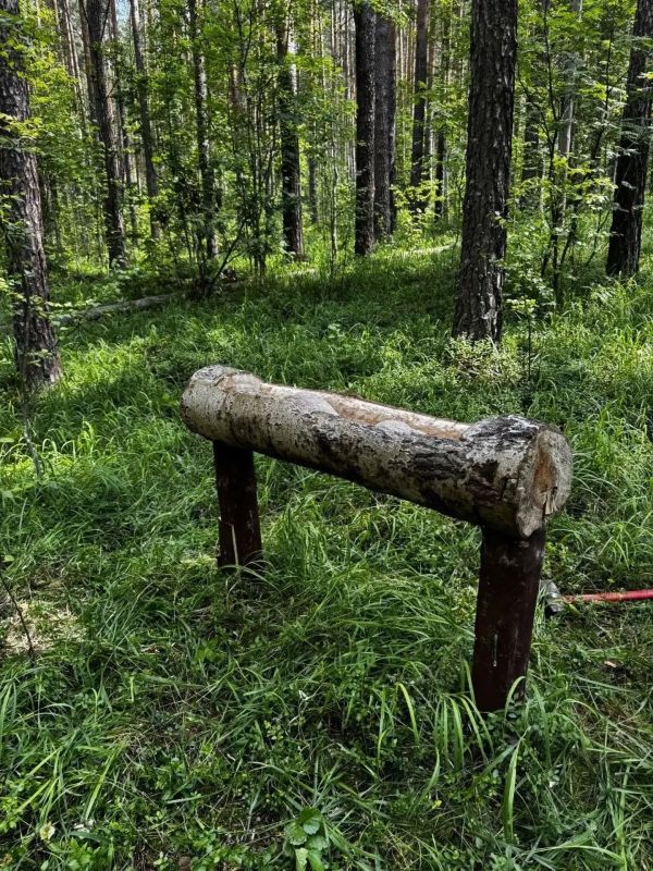 Природные парки Свердловской области готовятся к зимней подкормке диких животных Природные парки Свердловской области готовятся к зимней подкормке диких животных