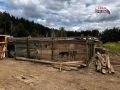 В Новоуральске суд обязал приют «Защита бездомных животных» устранить нарушения: кормили раз в день, не прививали, не лечили