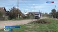 Проблема с острыми клыками: жители одного из микрорайонов Каменска-Уральского жалуются на агрессивную собаку