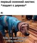 ���� ������������� � ������ ����� ����������� �������� � �����!