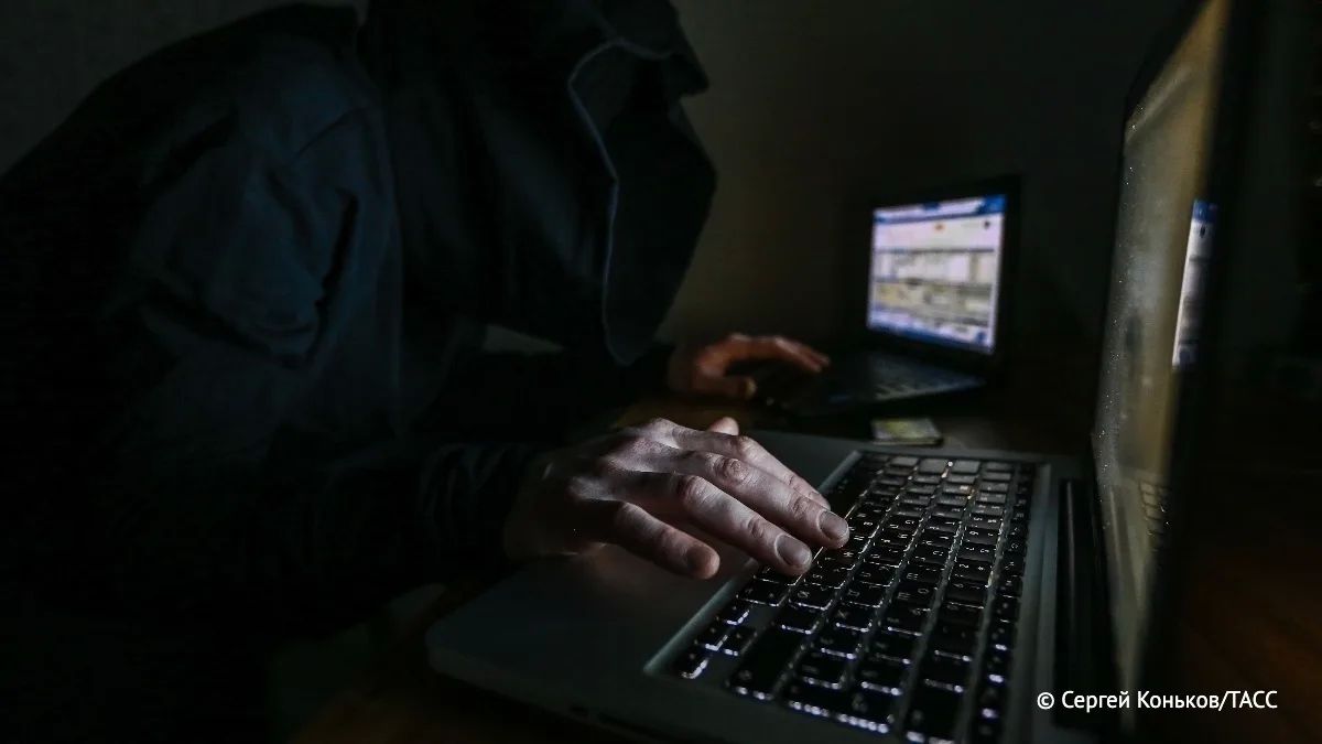Число мошеннических преступлений в Екатеринбурге выросло более чем на 81%, если сравнивать с аналогичным периодом 2025-го, сообщил на пресс-конференции в Уральском региональном информационном центре ТАСС начальник управления...