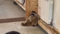 ���������� ����� � ��������� �� �������: � ����������������� ����������, ��� ���� ����� � ���� �������������