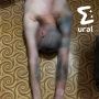 ����� ������������ ��������� ��������� ���� � ���� �������� ������������ ��������� � �������������