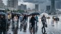 Конец августа будет холодным и дождливым на Среднем Урале
