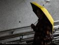 � ������������ � �������� ������ ��������