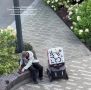 ������� �������� �� ������ �������������