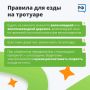 Правила безопасной езды: что нужно знать о самокатах?