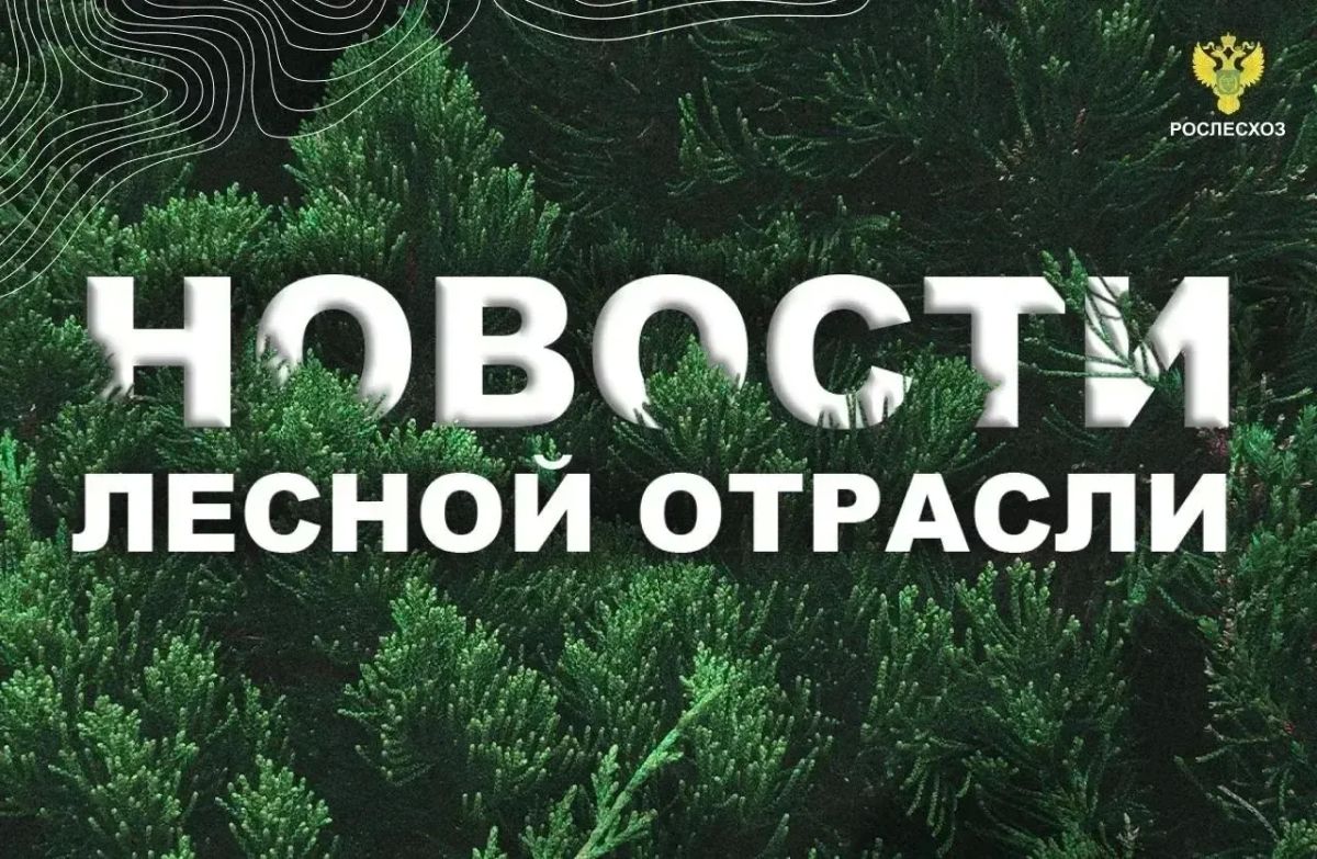 Мой Алтай: В Свердловской области завершены 8 инвестпроектов в целях развития ЛПК