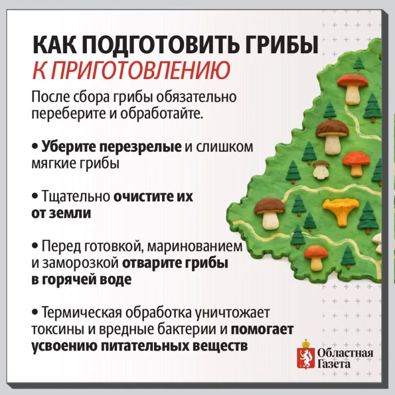 Грибная карта Свердловской области Грибная карта Свердловской области