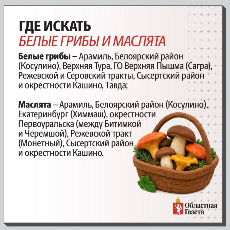 Грибная карта Свердловской области Грибная карта Свердловской области
