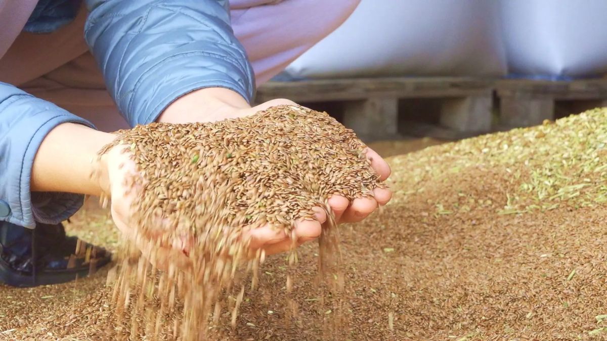 Объем экспорта продукции свердловских предприятий агропромышленного комплекса увеличился на 58,1% Объем экспорта продукции свердловских предприятий агропромышленного комплекса увеличился на 58,1%