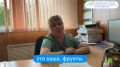 Питание ребёнка — это фундамент его здоровья и правильного развития