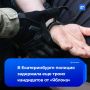 «Яблоко» сообщает о задержании еще трех свердловских партийцев