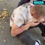 ��������� ��������� �� ���������� ������� � ����� ��������� �������������� � ����������� � �������������