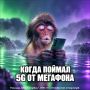 5G �� �������� ������ �������� � �������������