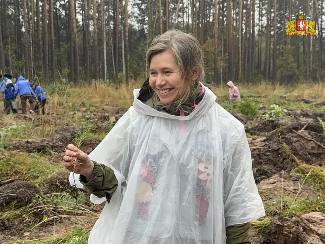 Более 4 тысяч сеянцев сосны высадили участники акции «Сохраним лес» Более 4 тысяч сеянцев сосны высадили участники акции «Сохраним лес»