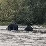 Рыбак утонул в машине в реке во время переправы