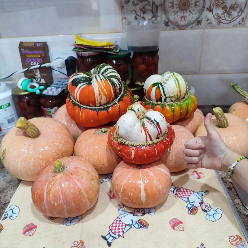 Овощи, которые нас удивили: итоги конкурса «Самый необычный урожай» Овощи, которые нас удивили: итоги конкурса «Самый необычный урожай»