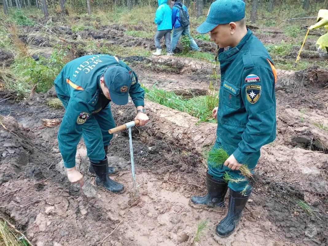 С заботой о природе родного края С заботой о природе родного края