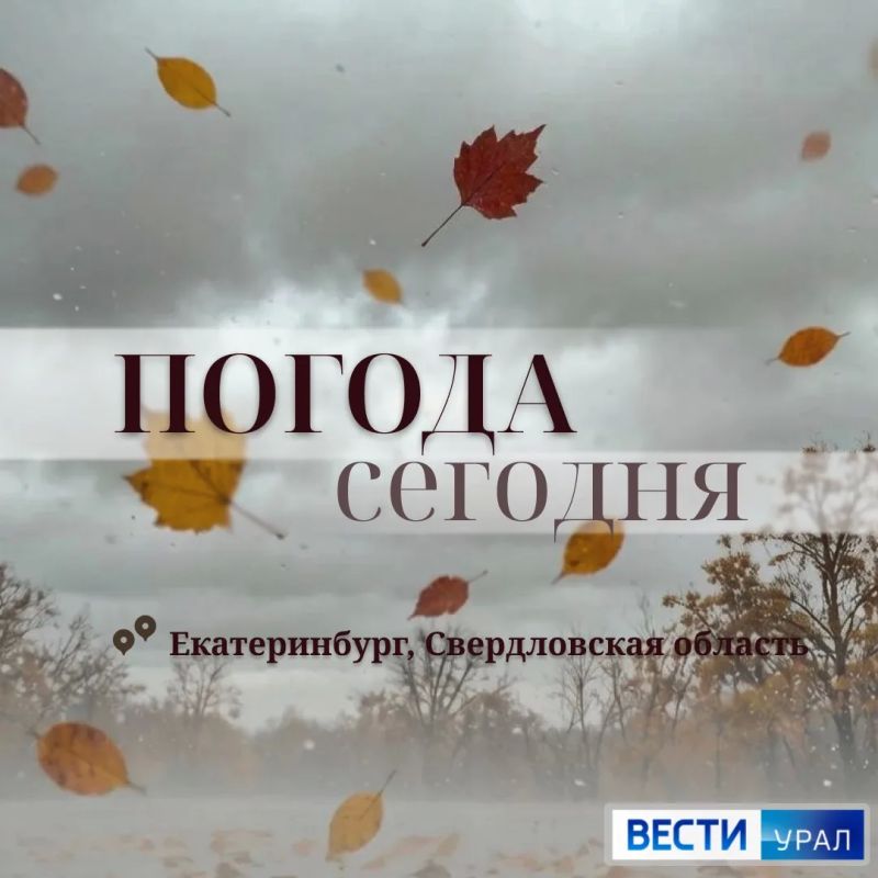 Хорошую осеннюю погоду обещают нам сегодня синоптики