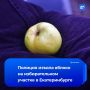 Из-за яблока полиция нагрянула на избирательный участок в Екатеринбурге